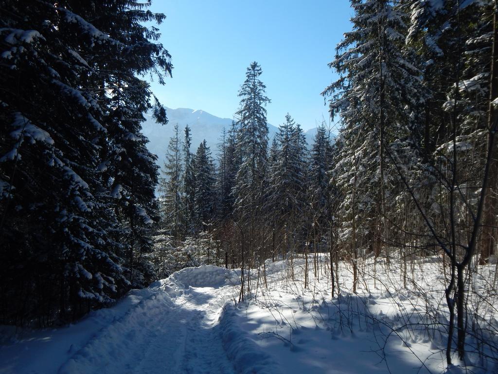 Chata Stacha Villa Zakopane Exterior photo